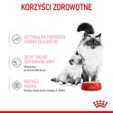 ROYAL CANIN FHN Babycat Instinctive Feline mus - mokra karma dla kociąt - puszka - 195 g