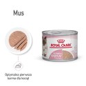 ROYAL CANIN FHN Babycat Instinctive Feline mus - mokra karma dla kociąt - puszka - 195 g