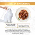 GOURMET GOLD Kurczak i wątróbka w sosie 85g