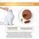 PURINA Gourmet Gold Mus z wołowiną - mokra karma dla kota - 85 g