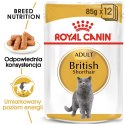 ROYAL CANIN FBN British Shorthair Adult - mokra karma dla dorosłego kota - 12x85g