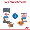 ROYAL CANIN FCN Light Weight Care w galaretce - mokra karma dla kota dorosłego - 12x85g