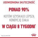 ROYAL CANIN FCN Light Weight Care w galaretce - mokra karma dla kota dorosłego - 12x85g