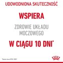 ROYAL CANIN FCN Urinary Care w sosie - mokra karma dla kota dorosłego - 12x85g