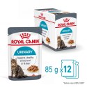 ROYAL CANIN FCN Urinary Care w sosie - mokra karma dla kota dorosłego - 12x85g