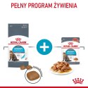 ROYAL CANIN FCN Urinary Care w sosie - mokra karma dla kota dorosłego - 12x85g