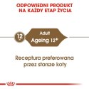 ROYAL CANIN FHN Ageing 12+ w galaretce - mokra karma dla kota starszego - 12x85g