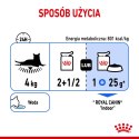 ROYAL CANIN FHN Indoor w galaretce - mokra karma dla kota dorosłego - 12x85 g