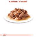 ROYAL CANIN FHN Instinctive w sosie - mokra karma dorosłych kotów - 12x 85 g