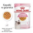 ROYAL CANIN FHN Kitten Instinctive in Jelly - mokra karma dla kociąt - 12x85g