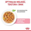 ROYAL CANIN FHN Kitten Instinctive in Jelly - mokra karma dla kociąt - 12x85g