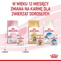 ROYAL CANIN FHN Kitten Instinctive in Jelly - mokra karma dla kociąt - 12x85g