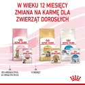 ROYAL CANIN FHN Kitten Sterilised w sosie - mokra karma dla kociąt - 12x85 g