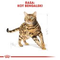 ROYAL CANIN Bengal Adult - sucha karma dla dorosłego kota - 10 kg