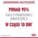 ROYAL CANIN FCN Digestive Care - sucha karma dla kota dorosłego - 4 kg