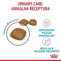 ROYAL CANIN FCN Urinary Care - sucha karma dla kota dorosłego - 4kg