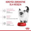 ROYAL CANIN FHN Kitten - sucha karma dla kociąt - 10kg