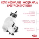 ROYAL CANIN FHN Mother&Babycat - sucha karma dla kociąt - 4kg