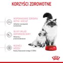 ROYAL CANIN FHN Mother&Babycat - sucha karma dla kociąt - 4kg