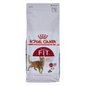 ROYAL CANIN FHN Regular Fit 32 - sucha karma dla kota dorosłego - 2 kg