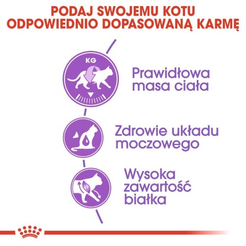 ROYAL CANIN FHN Regular Sterilised 37 - sucha karma dla kota dorosłego - 10 kg