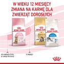 ROYAL CANIN Kitten Sterilised 3,5kg