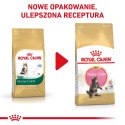 ROYAL CANIN Maine Coon Kitten 0,4kg