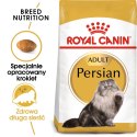 Royal Canin FBN Persian Adult - sucha karma dla kota dorosłego - 4kg