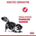 ROYAL CANIN FCN Digestive Care - sucha karma dla kota dorosłego - 10 kg