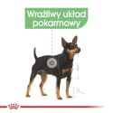 ROYAL CANIN CCN DIGESTIVE CARE LOAF - mokra karma dla psa dorosłego - 12x85g