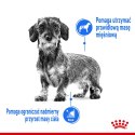 ROYAL CANIN CCN LIGHT WEIGHT CARE LOAF - mokra karma dla psa dorosłego - 12x85g