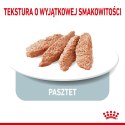 ROYAL CANIN CCN LIGHT WEIGHT CARE LOAF - mokra karma dla psa dorosłego - 12x85g