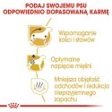 ROYAL CANIN BHN Dachshund Adult - sucha karma dla psa dorosłego - 7,5kg