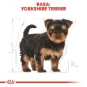 ROYAL CANIN BHN Yorkshire Puppy - sucha karma dla szczeniąt - 7,5 kg