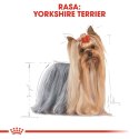 ROYAL CANIN BHN Yorkshire Terrier Adult - sucha karma dla psa dorosłego - 7,5 kg