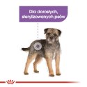 ROYAL CANIN CCN MINI STERILISED - sucha karma dla psa dorosłego - 8kg