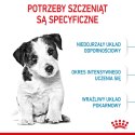 ROYAL CANIN Puppy Mini SHN - sucha karma dla szczeniąt - 2 kg