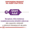 ROYAL CANIN SHN Giant Adult - sucha karma dla psa dorosłego - 15 kg