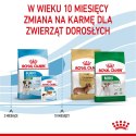 Royal Canin Puppy Mini SHN - sucha karma dla szczeniąt - 4 kg