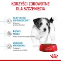 Royal Canin Puppy Mini SHN - sucha karma dla szczeniąt - 4 kg