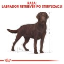 ROYAL CANIN BHN Labrador Retriever Sterilised Adult - sucha karma dla psa dorosłego - 12 kg