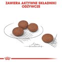 ROYAL CANIN Mini Digestive Care - karma sucha dla psów dorosłych ras małych - 1kg