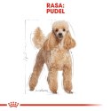 ROYAL CANIN Poodle 1,5kg