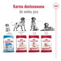 Royal Canin SHN Medium Adult BF 4kg