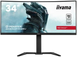 MONITOR IIYAMA LED 34